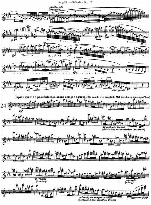 卡-伊勒特30首长笛练习曲Op.107-NO.22-NO.24-长笛五线谱|长笛谱