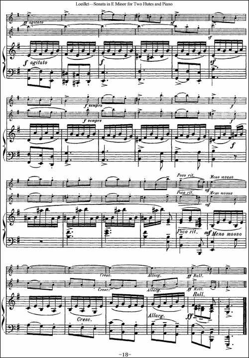罗埃莱特E小调双长笛与钢琴奏鸣曲--长笛五线谱|长笛谱