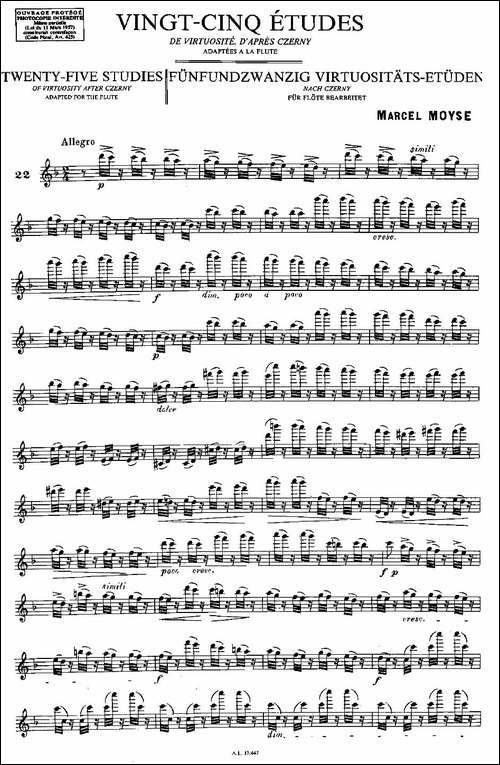 Moyse-25-Studies-after-Czerny-flute-之22-2-长笛五线谱|长笛谱