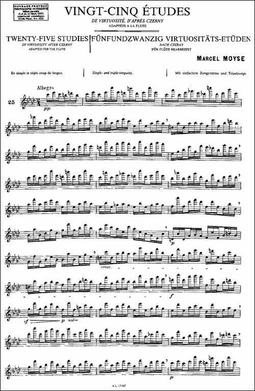 Moyse-25-Studies-after-Czerny-flute-之25-2-长笛五线谱|长笛谱