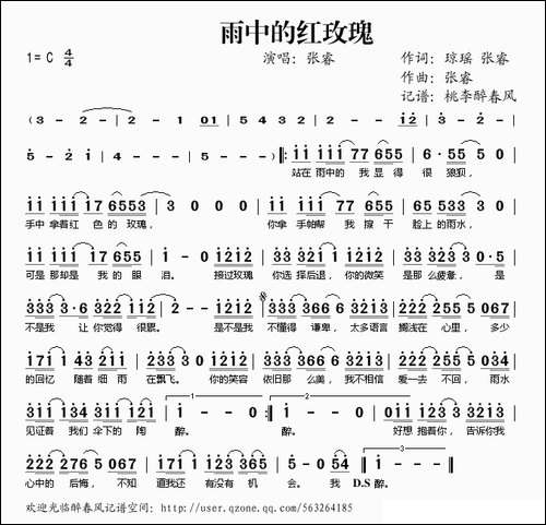 雨中的红玫瑰