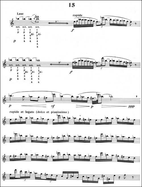 15首现代派练习曲-15-胡琴