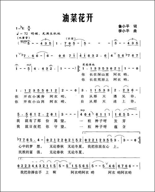 油菜花开-鲁小平词-李小平曲
