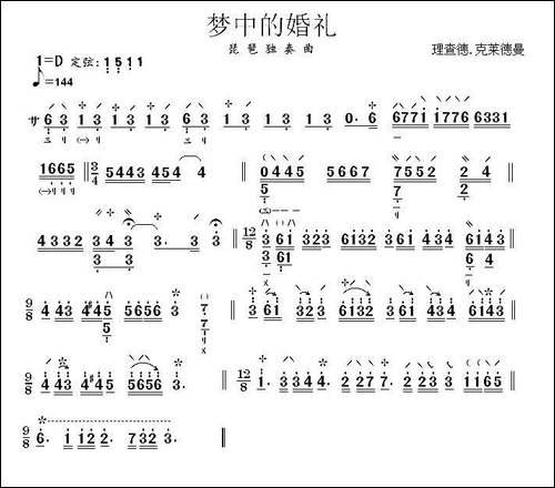 梦中的婚礼-琵琶谱