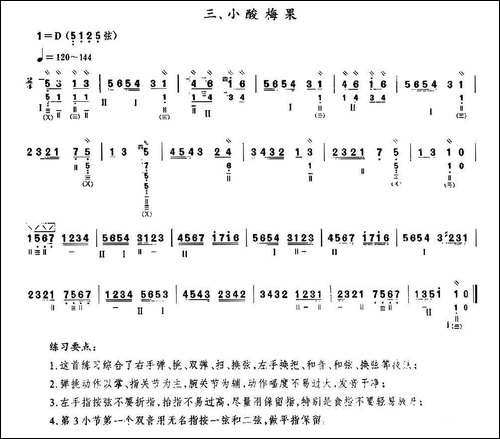 小酸梅果-琵琶谱