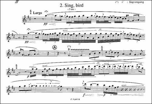 须川展也的《Fuzzy-Bird-Sonata》-Sing,-Bird毛绒鸟奏鸣曲之-吉他谱