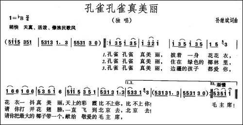 孔雀孔雀真美丽