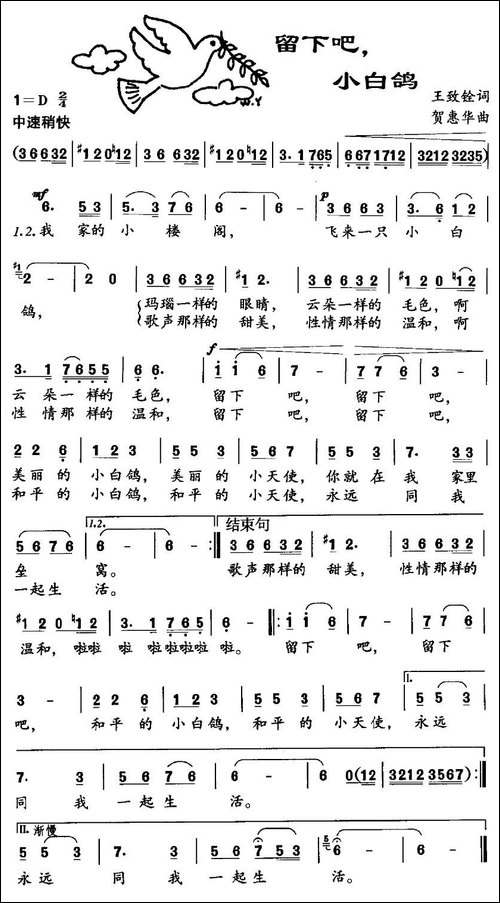 留下吧，小白鸽