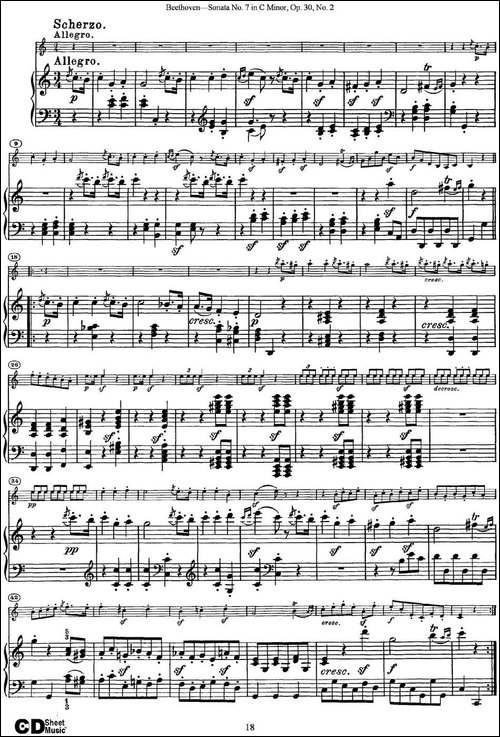 Violin-Sonata-No.7-in-C-Minor-Op.30-No.2-小提琴+钢琴伴奏-提琴谱