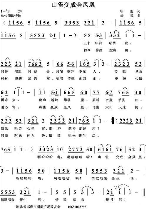 山雀变成金凤凰